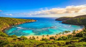 Private Best of Oahu Sightseeing Tour