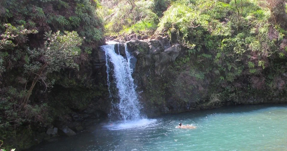 hawaiian company Private Halfway to Hana Tour