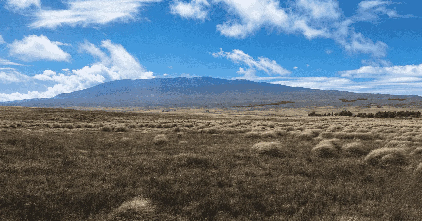 PRIVATE Big Island Big Volcano Adventure from Hilo