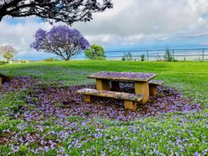 Haleakala & Upcountry Private Tour on Maui