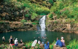 Ultimate Circle Island Tour from Ko Olina — Beauty and the Feast
