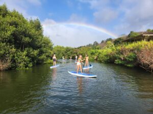 Nature & Turtle Kayak Tour in North Shore, Oahu