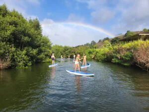Nature & Turtle Kayak Tour in North Shore, Oahu