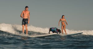 Oahu Dog Surfing Experience on Oahu — Ride Waves with Rescue Dogs