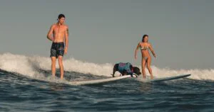 Oahu Dog Surfing Experience on Oahu — Ride Waves with Rescue Dogs