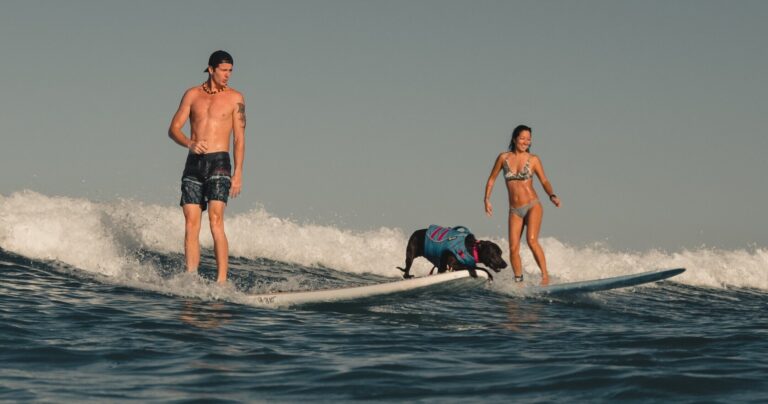 Surf instructors with a rescue dog on the beach in Waikiki, Oahu