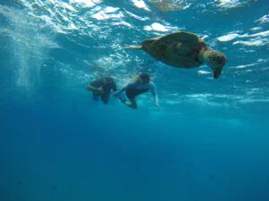 Half-Day Surf & Turf Adventure Retreat on Oahu