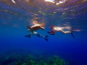 Turtle Town Sea Scooter Snorkel on Maui