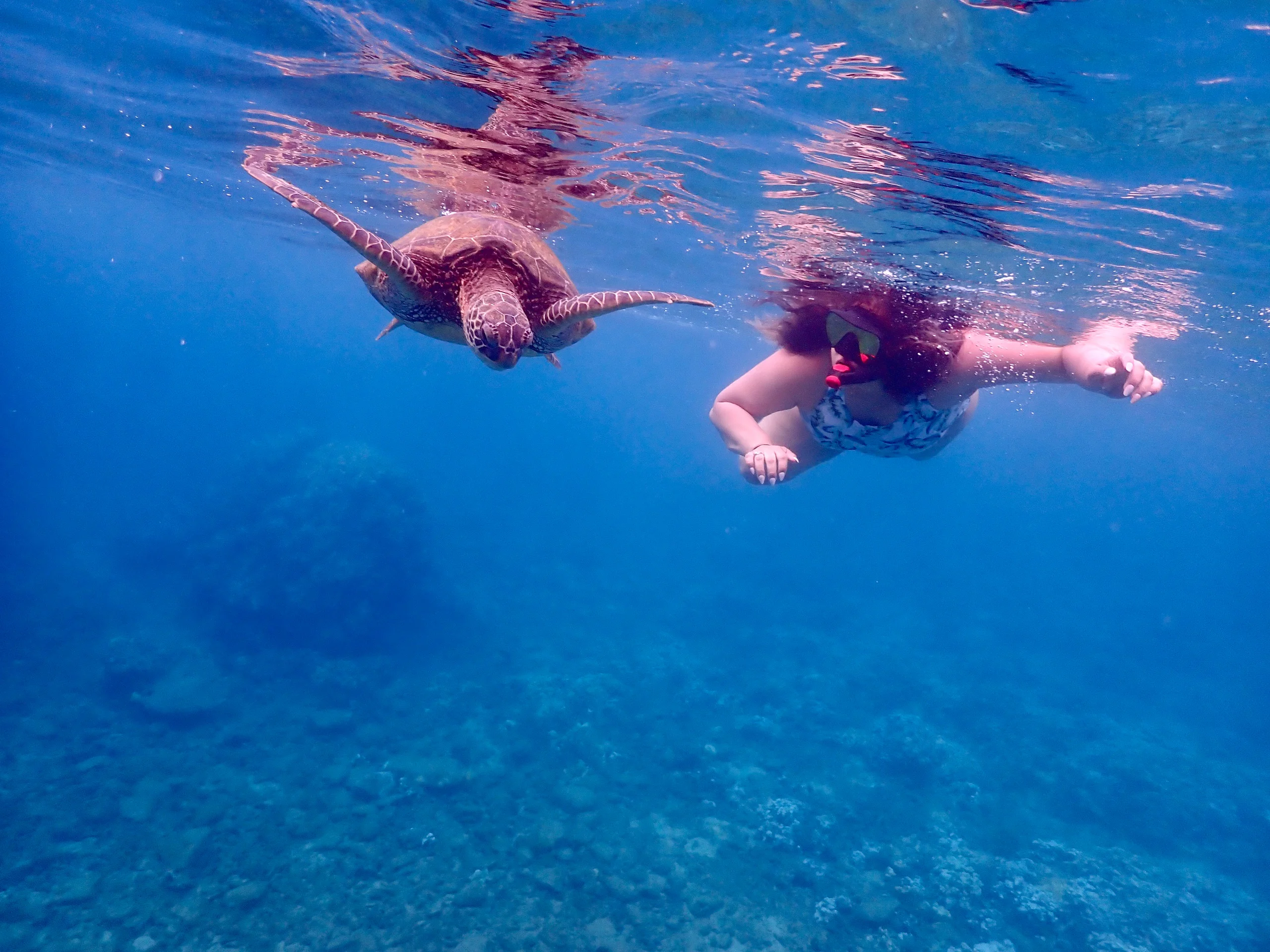 Turtle Town Snorkel Tour on Maui for Beginners, Hawaii
