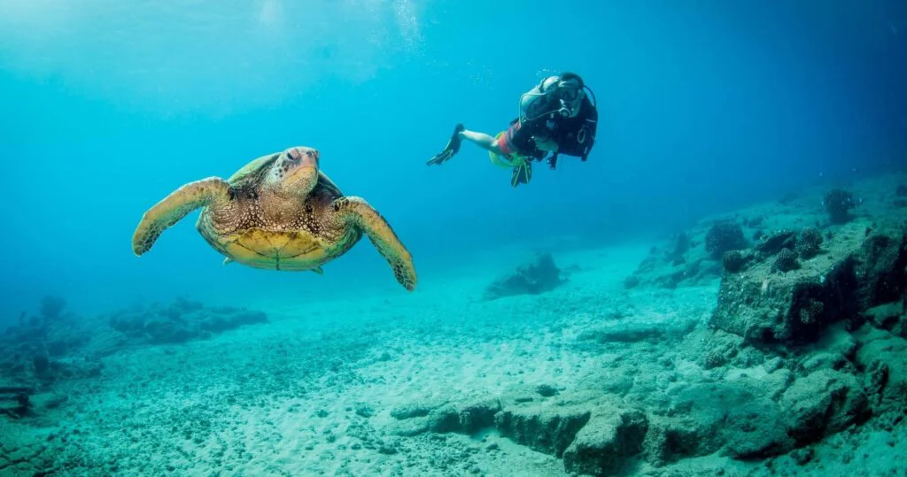 Poipu and South Kauai: What to Book on the Sunny Side