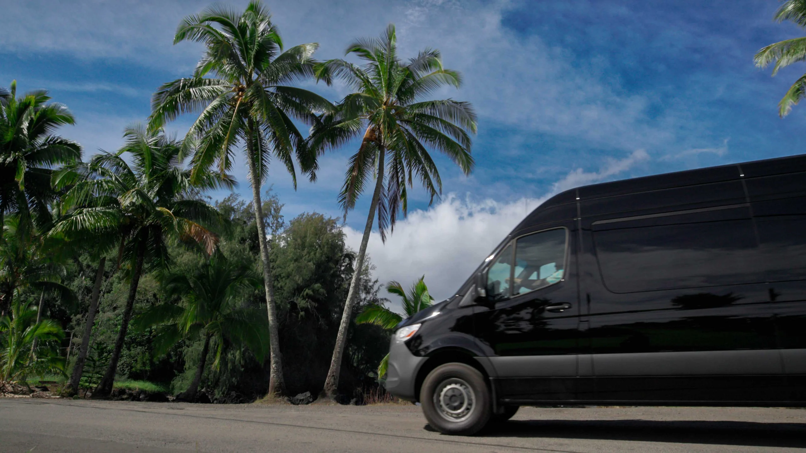 Private Road to Hana and Haleakala Tour — Custom Van for Up to 13