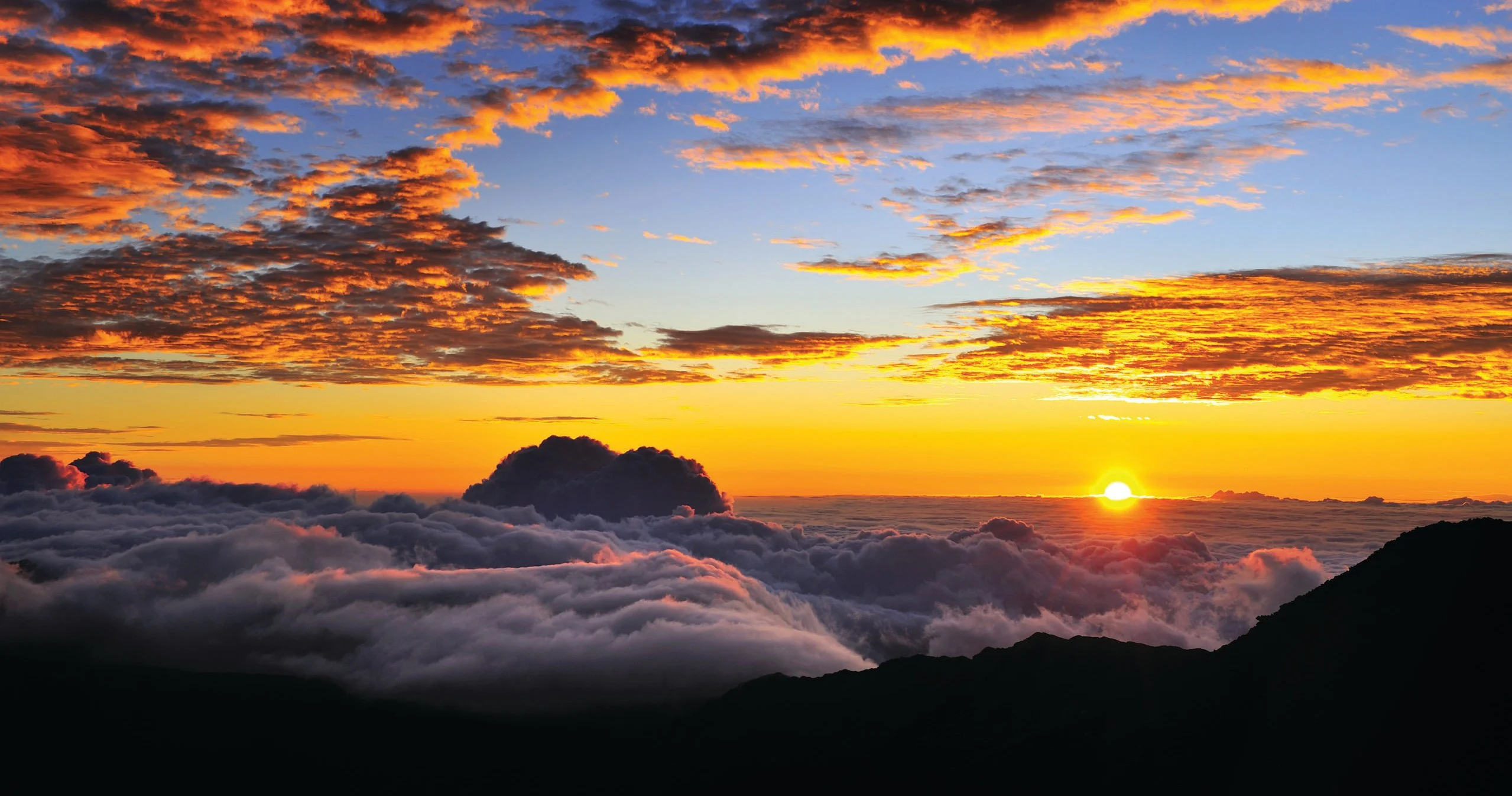 Polynesian Adventure Tours — Guided Haleakala Summit Trips with Hotel Pickup