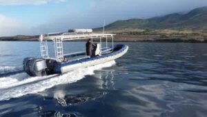 Whale Watching Tour from Kaanapali Beach, Maui — Guaranteed Sightings