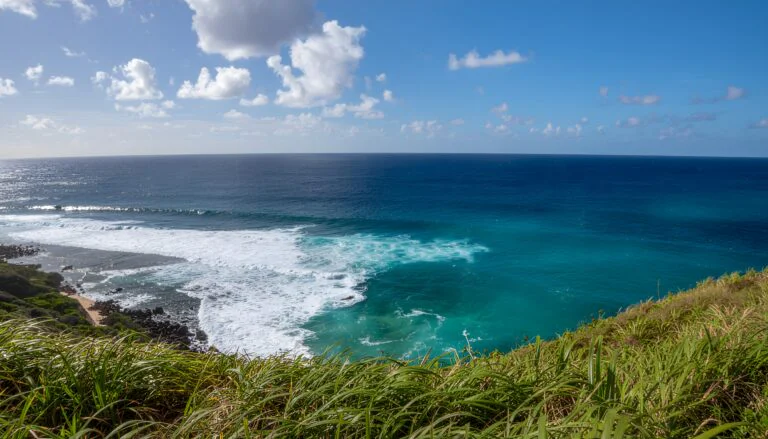 A wide ocean panorama seen from a green hilltop lookout